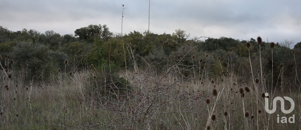 Terreno em Areias e Pias de 2 560 m²