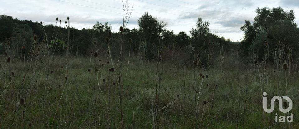 Terreno em Areias e Pias de 2 560 m²