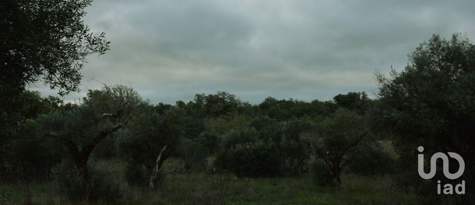 Terreno em Areias e Pias de 2 560 m²