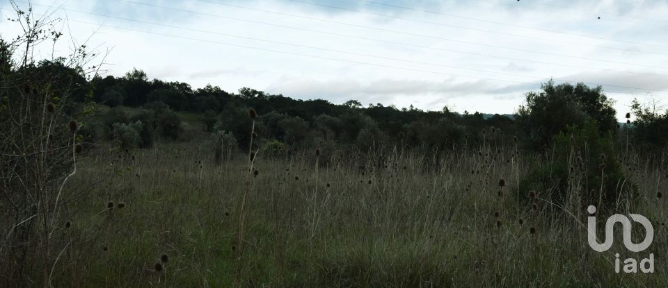 Terreno em Areias e Pias de 2 560 m²