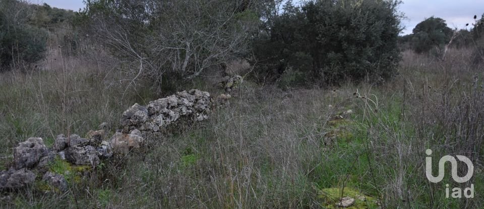 Terreno em Areias e Pias de 2 560 m²