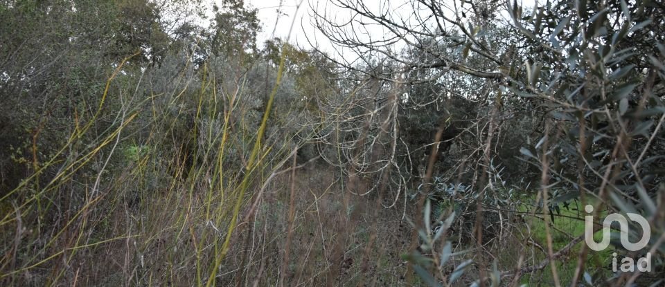 Terreno em Areias e Pias de 1 200 m²