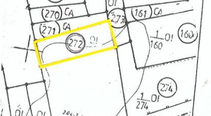 Terreno em Areias e Pias de 1 040 m²