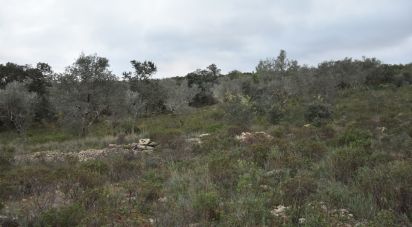 Terreno em Areias e Pias de 1 600 m²