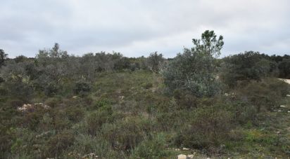 Terreno em Areias e Pias de 1 600 m²