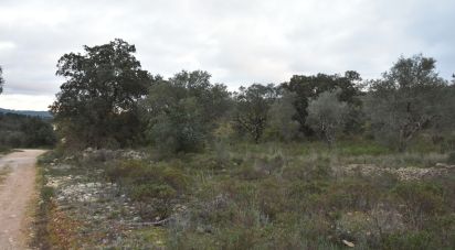 Terreno em Areias e Pias de 1 600 m²