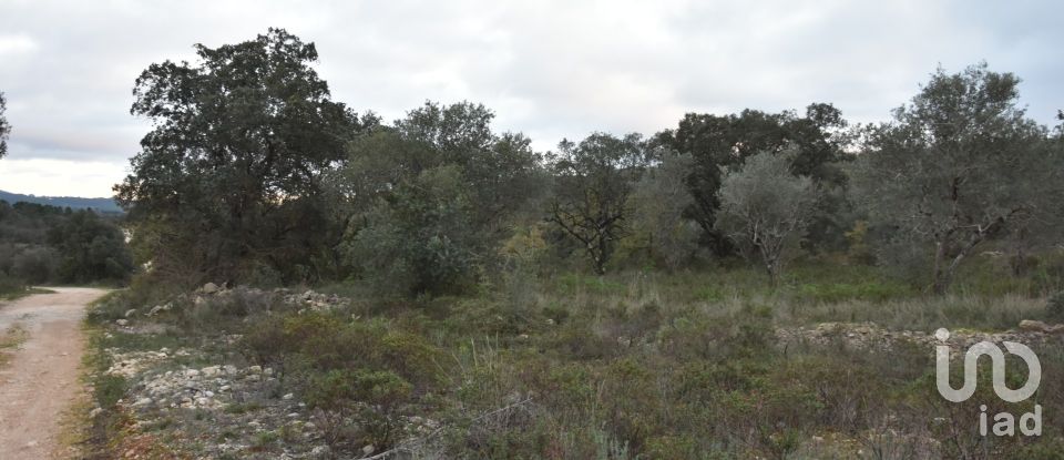 Terreno em Areias e Pias de 1 600 m²