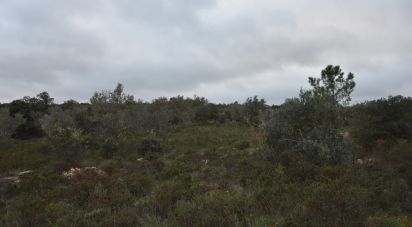 Terreno em Areias e Pias de 1 600 m²