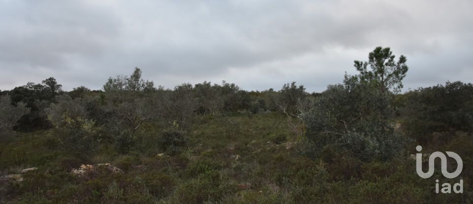 Terreno em Areias e Pias de 1 600 m²