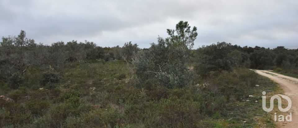 Terreno em Areias e Pias de 1 600 m²