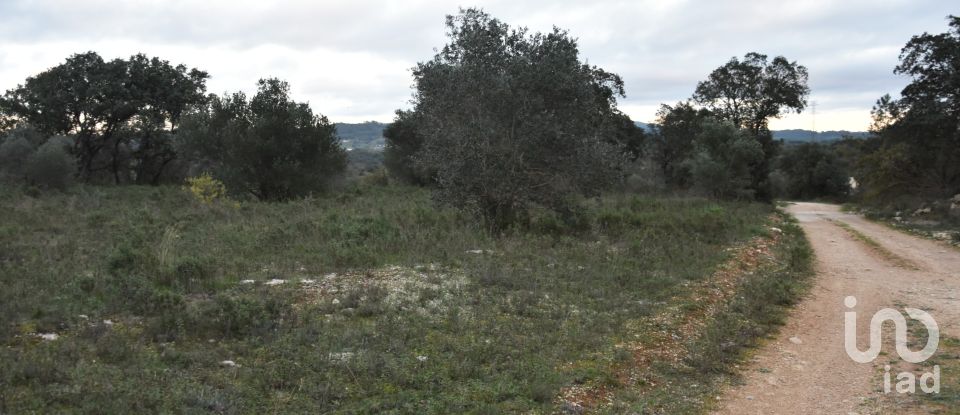 Terreno em Areias e Pias de 1 600 m²