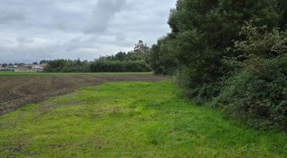 Terreno Agrícola em Pardilhó de 1 250 m²