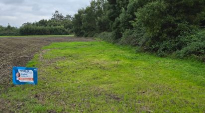 Terreno Agrícola em Pardilhó de 1 250 m²