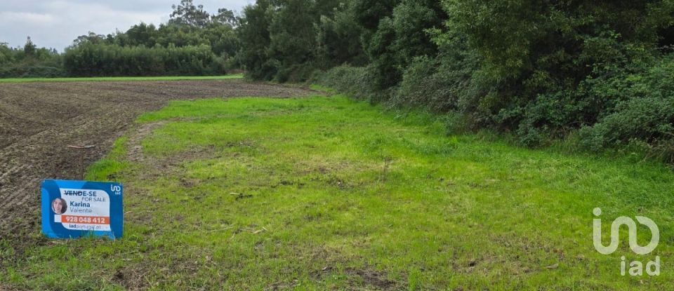 Agricultural land in Pardilhó of 1,250 m²