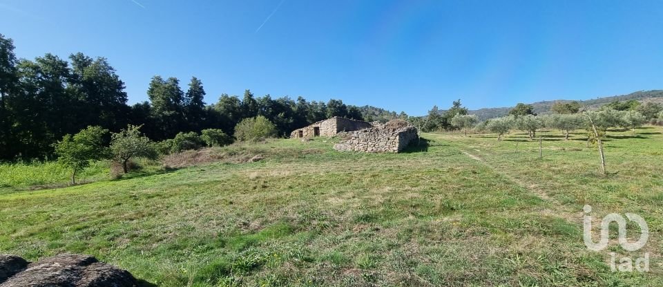 Quinta T0 em Vale Flor, Carvalhal e Pai Penela de 49 500 m²