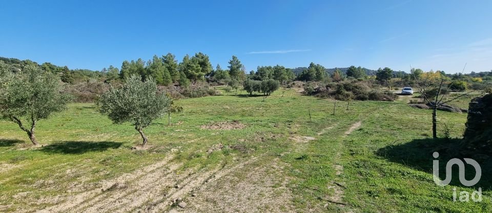 Quinta T0 em Vale Flor, Carvalhal e Pai Penela de 49 500 m²