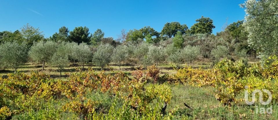 Quinta T0 em Vale Flor, Carvalhal e Pai Penela de 49 500 m²