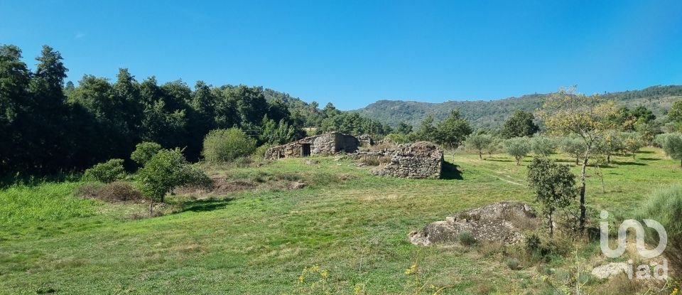 Quinta T0 em Vale Flor, Carvalhal e Pai Penela de 49 500 m²