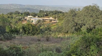 Terreno em Santa Bárbara de Nexe de 1 480 m²