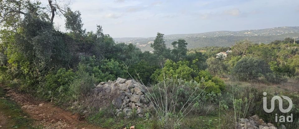 Terreno em Santa Bárbara de Nexe de 1 480 m²