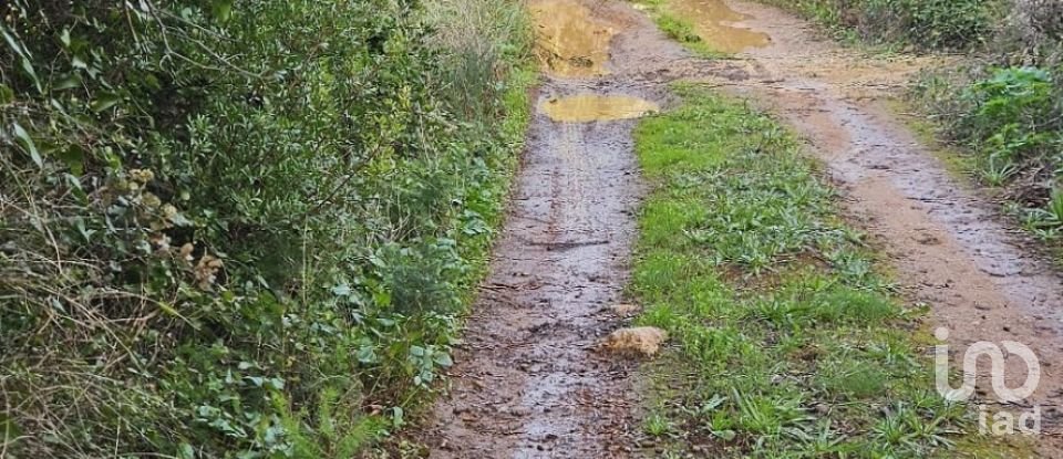 Terreno em Santa Bárbara de Nexe de 1 480 m²