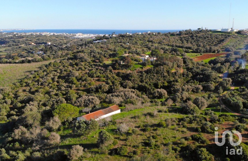 Terreno para construção em São Gonçalo De Lagos de 54 800 m²