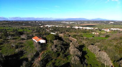 Terreno para construção em São Gonçalo De Lagos de 54 800 m²