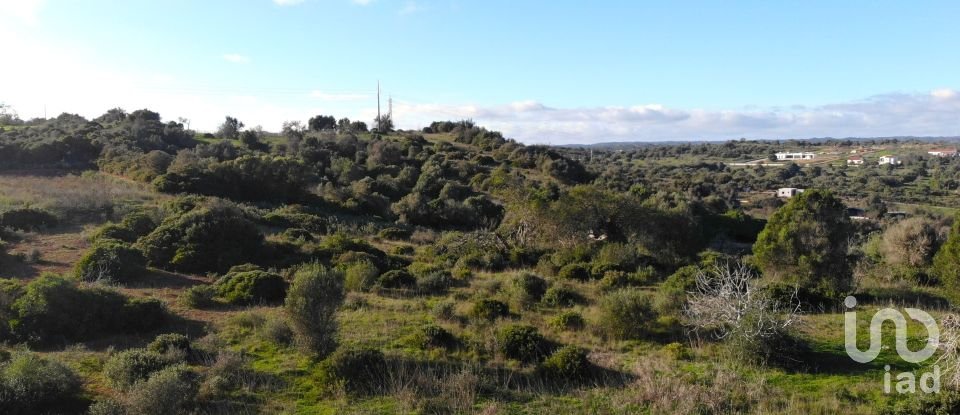 Terreno para construção em São Gonçalo De Lagos de 54 800 m²