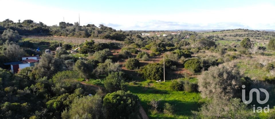 Terreno para construção em São Gonçalo De Lagos de 54 800 m²