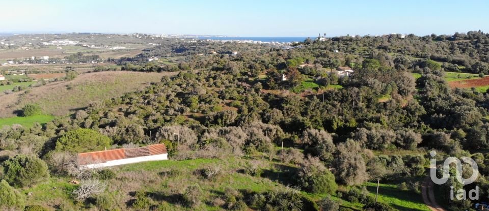 Terreno para construção em São Gonçalo De Lagos de 54 800 m²