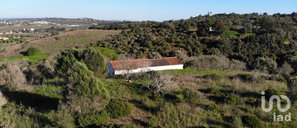 Terreno para construção em São Gonçalo De Lagos de 54 800 m²