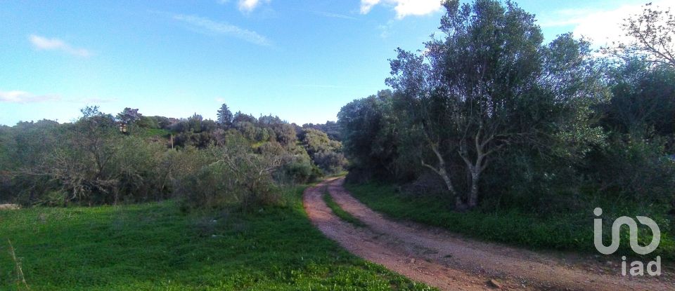 Terreno para construção em São Gonçalo De Lagos de 54 800 m²