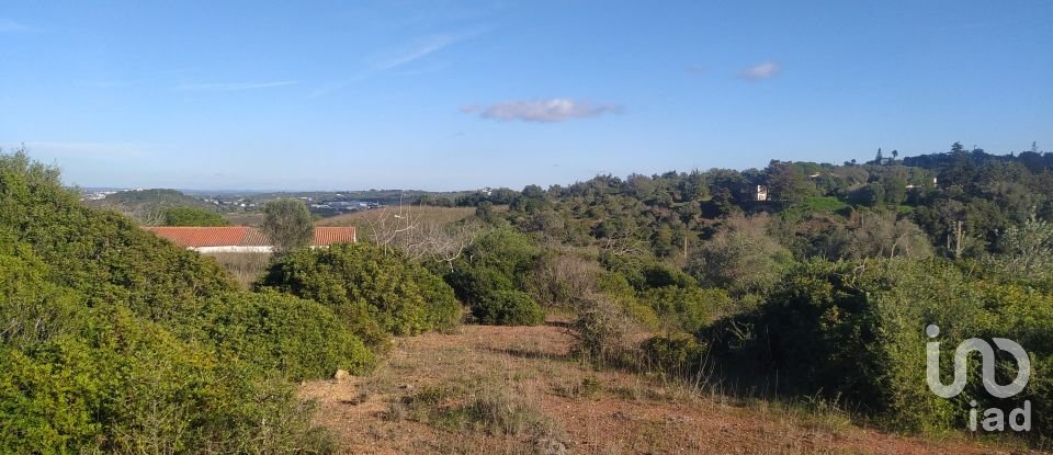 Terreno para construção em São Gonçalo De Lagos de 54 800 m²