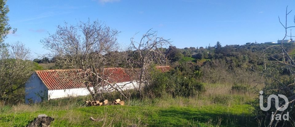 Terreno para construção em São Gonçalo De Lagos de 54 800 m²