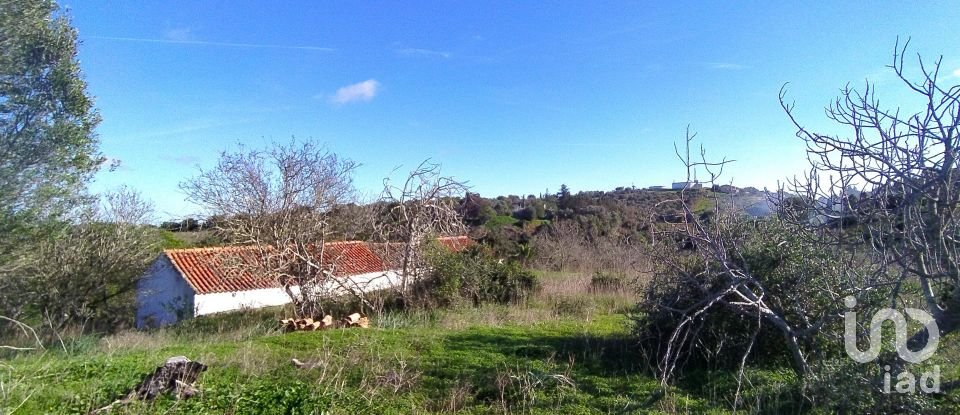 Terreno para construção em São Gonçalo De Lagos de 54 800 m²