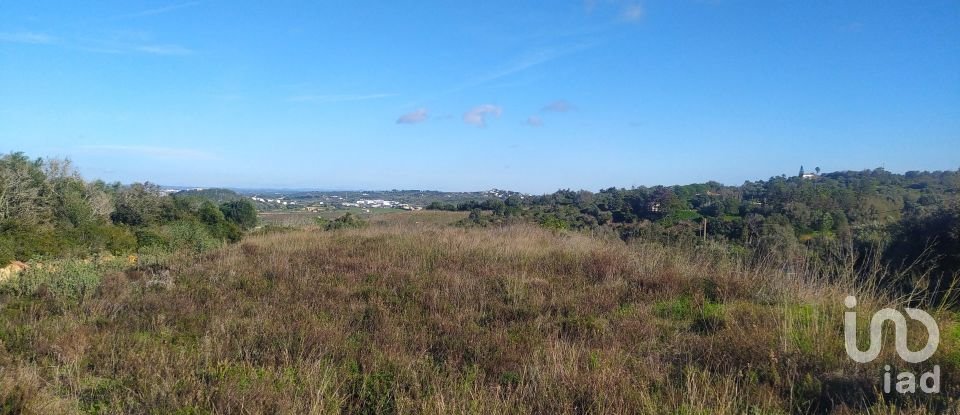 Terreno para construção em São Gonçalo De Lagos de 54 800 m²