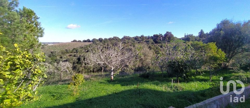 Terreno para construção em São Gonçalo De Lagos de 54 800 m²