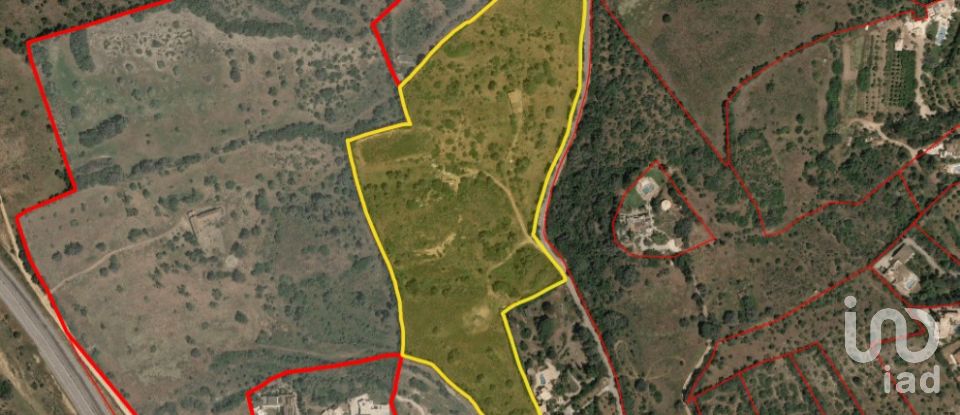 Terreno para construção em São Gonçalo De Lagos de 54 800 m²