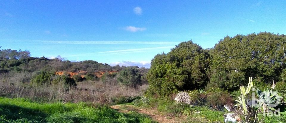 Terreno para construção em São Gonçalo De Lagos de 54 800 m²