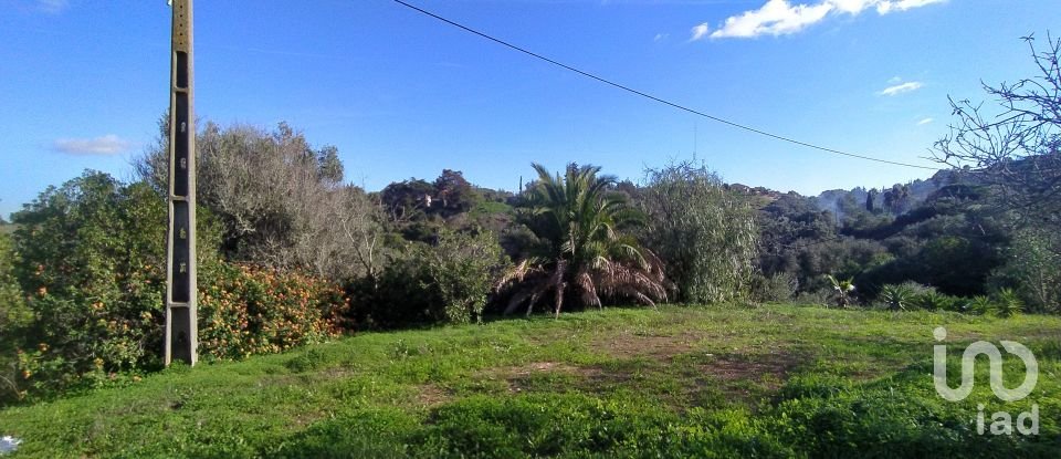 Terreno para construção em São Gonçalo De Lagos de 54 800 m²