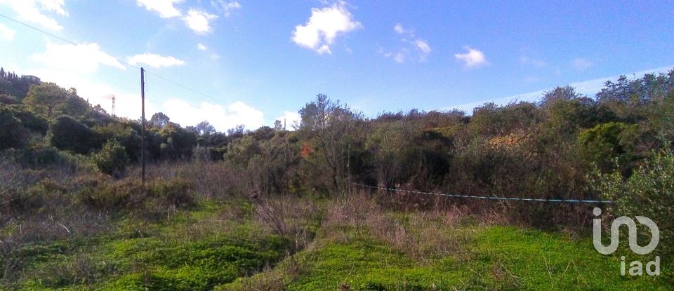 Terreno para construção em São Gonçalo De Lagos de 54 800 m²