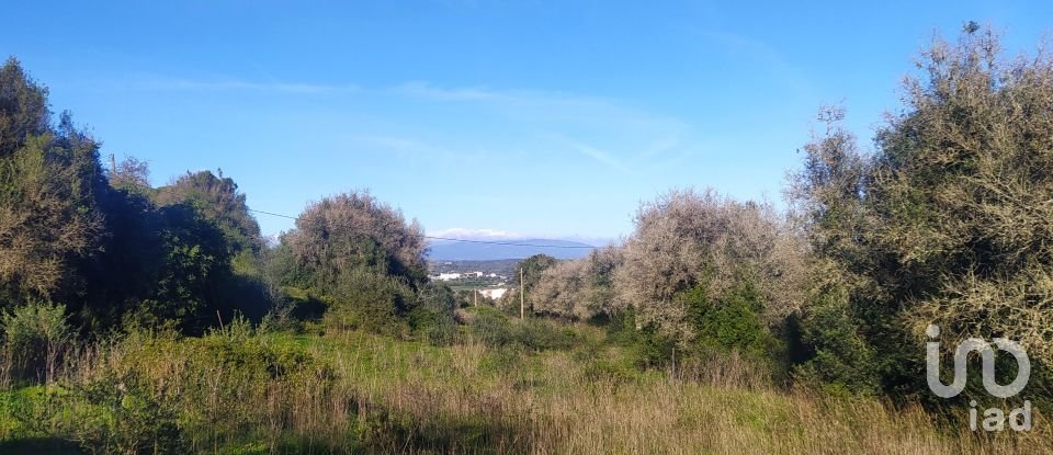 Terreno para construção em São Gonçalo De Lagos de 54 800 m²