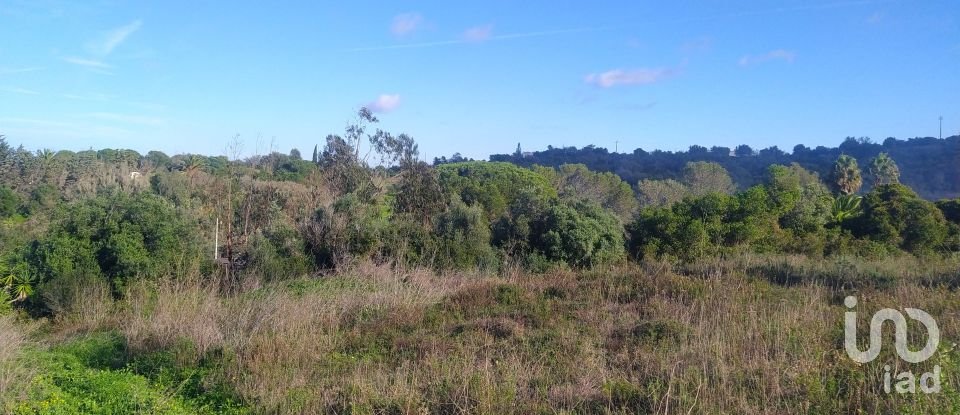 Terreno para construção em São Gonçalo De Lagos de 54 800 m²