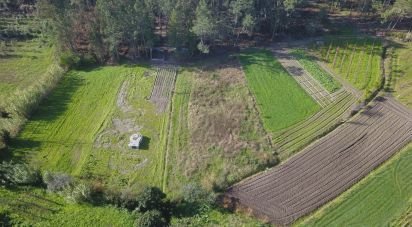 Terreno em Tentúgal de 1 296 m²