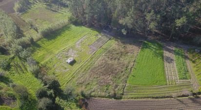 Terreno em Tentúgal de 1 296 m²