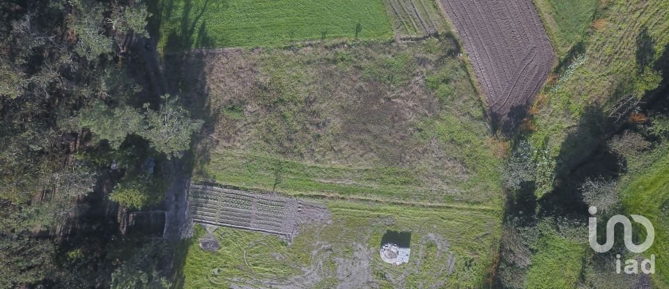 Terreno em Tentúgal de 1 296 m²