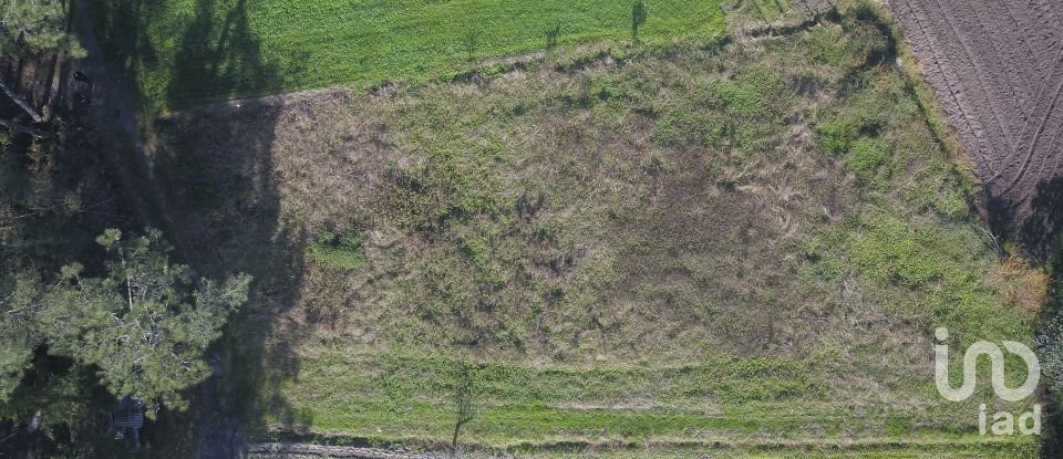 Terreno em Tentúgal de 1 296 m²