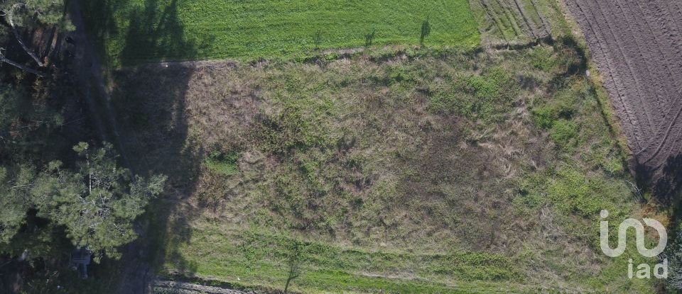 Terreno em Tentúgal de 1 296 m²