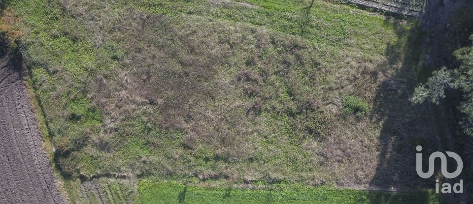 Terreno em Tentúgal de 1 296 m²