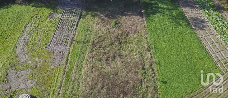 Terreno em Tentúgal de 1 296 m²